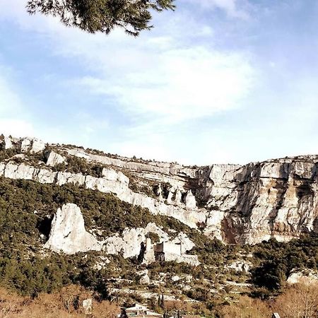 Vue Panoramique Sur Le Chateau,Montagne Et Grottes Fontaine-de-Vaucluse Buitenkant foto