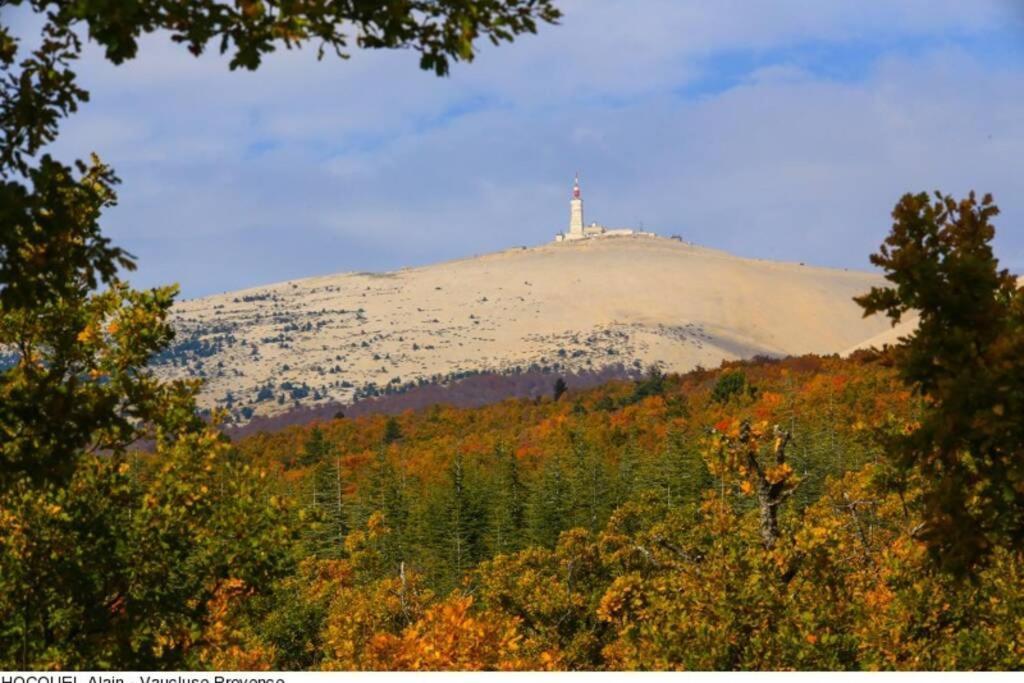 Vue Panoramique Sur Le Chateau,Montagne Et Grottes Fontaine-de-Vaucluse Buitenkant foto