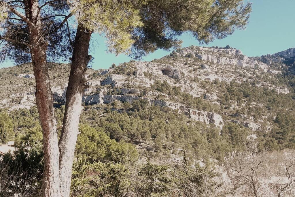 Vue Panoramique Sur Le Chateau,Montagne Et Grottes Fontaine-de-Vaucluse Buitenkant foto