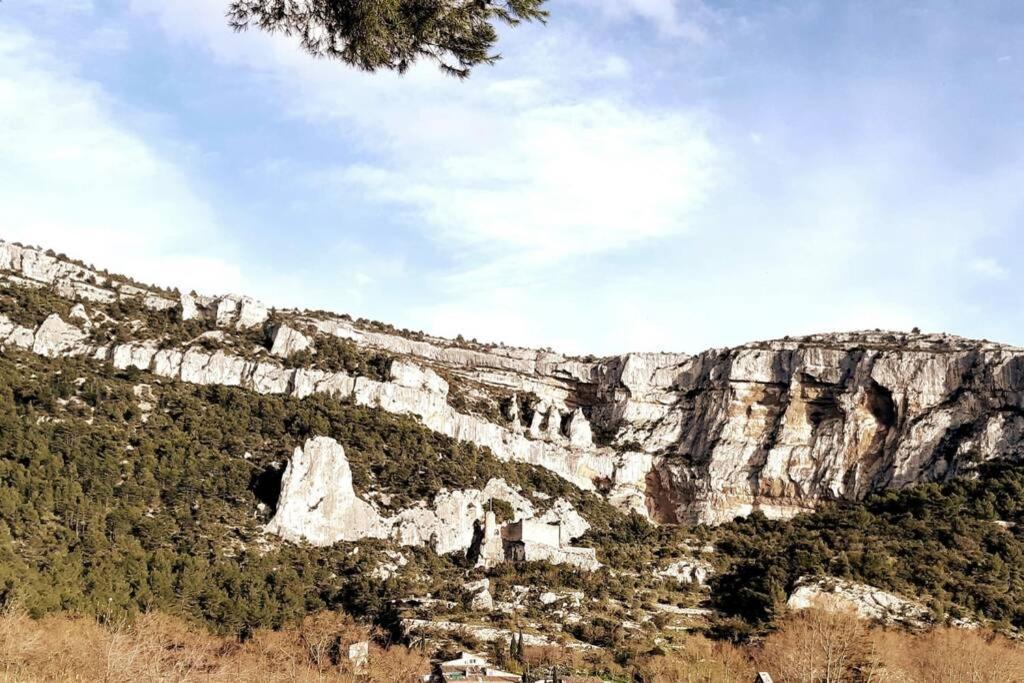 Vue Panoramique Sur Le Chateau,Montagne Et Grottes Fontaine-de-Vaucluse Buitenkant foto