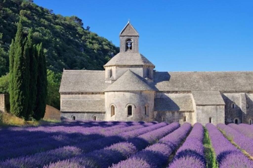 Vue Panoramique Sur Le Chateau,Montagne Et Grottes Fontaine-de-Vaucluse Buitenkant foto