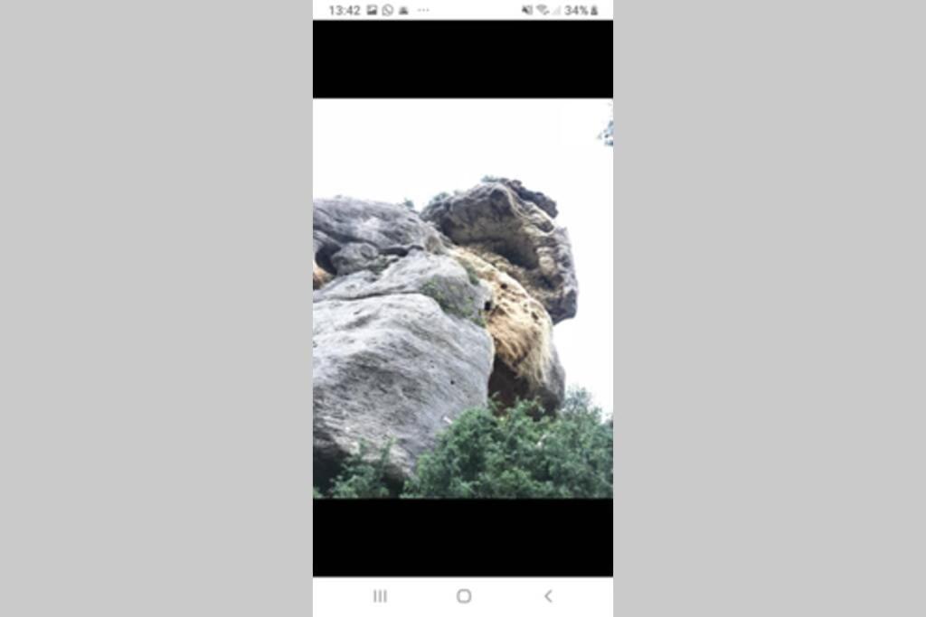 Vue Panoramique Sur Le Chateau,Montagne Et Grottes Fontaine-de-Vaucluse Buitenkant foto