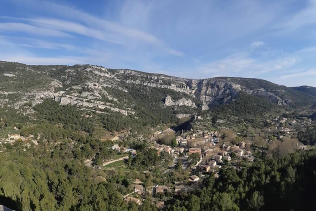 Vue Panoramique Sur Le Chateau,Montagne Et Grottes Fontaine-de-Vaucluse Buitenkant foto
