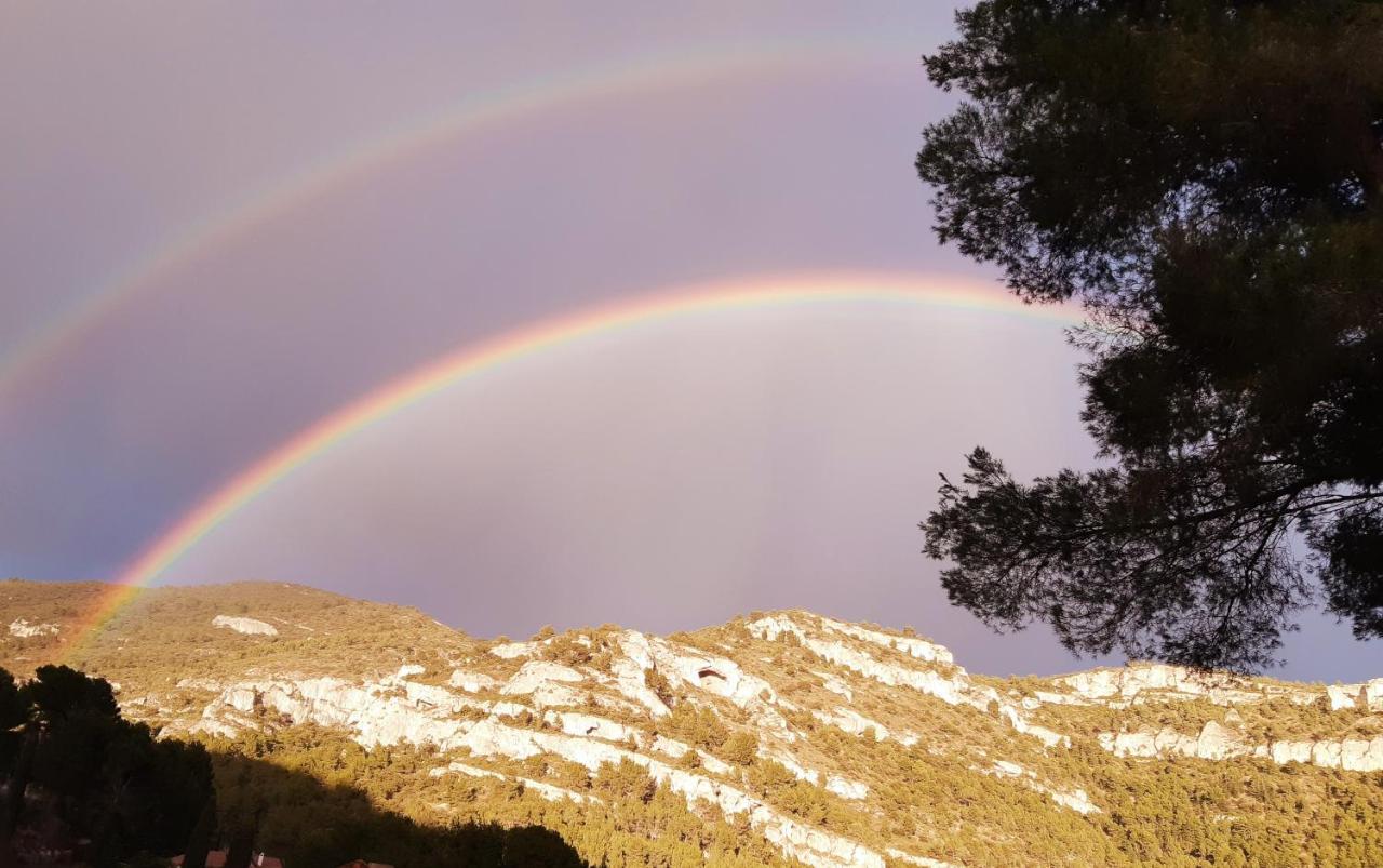 Vue Panoramique Sur Le Chateau,Montagne Et Grottes Fontaine-de-Vaucluse Buitenkant foto