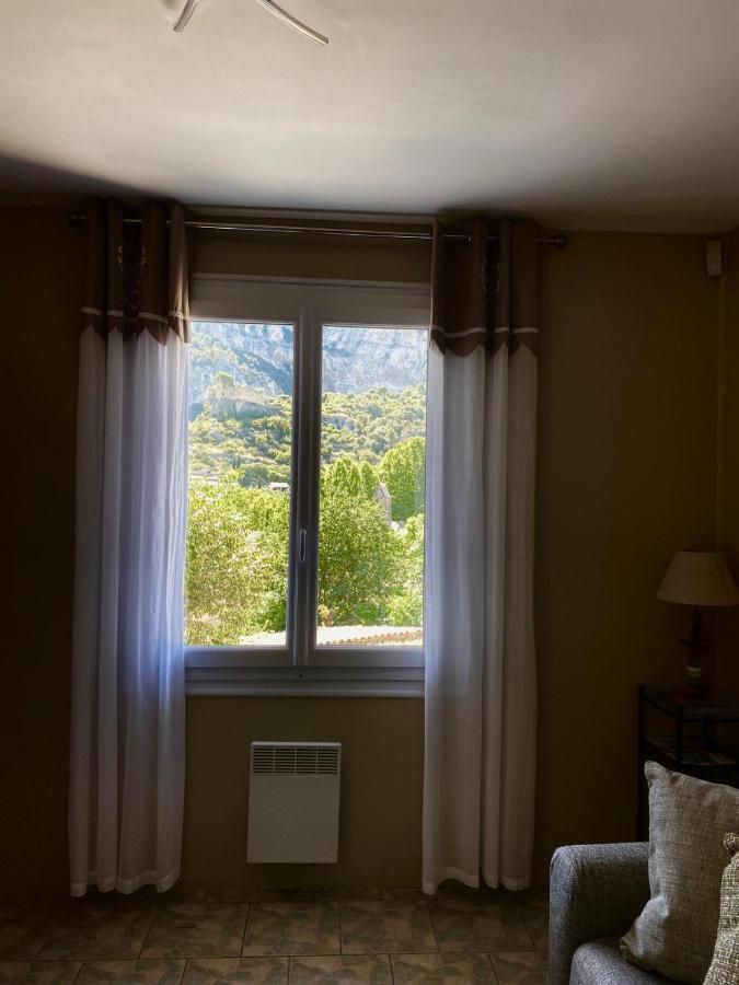 Vue Panoramique Sur Le Chateau,Montagne Et Grottes Fontaine-de-Vaucluse Buitenkant foto
